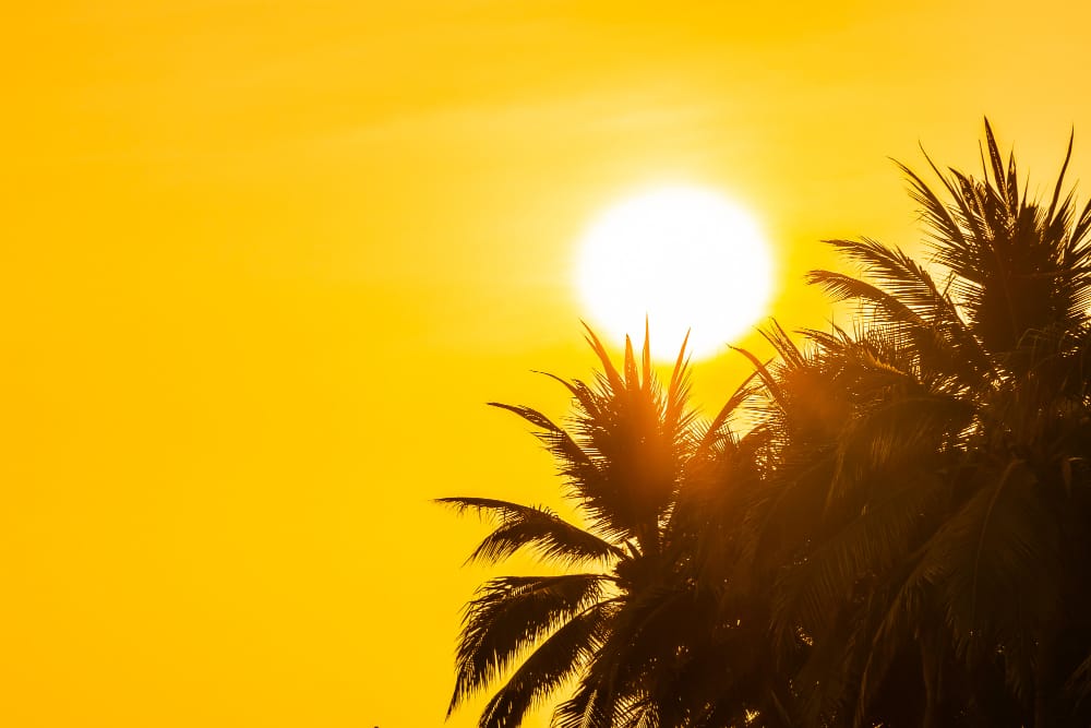 sol paraguayo